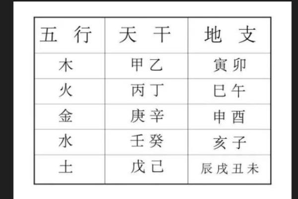 地支传奇，探寻五行之秘，五大神秘地支等你揭秘