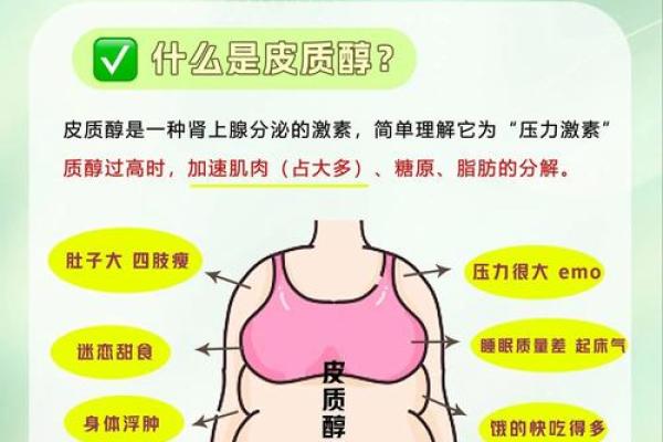 痣相探秘：肚子上的痣藏着什么大秘密？