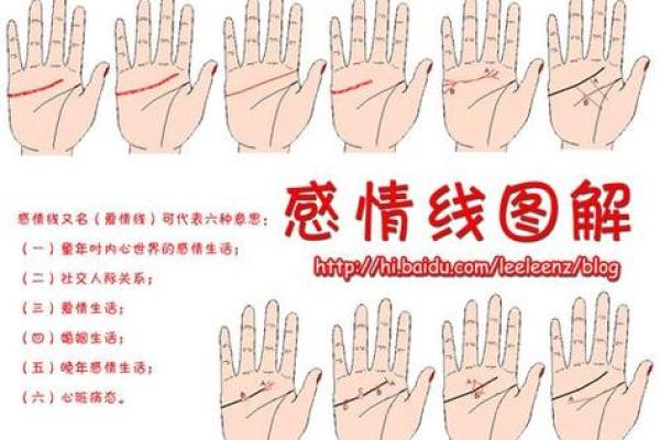 短婚姻线，揭秘婚姻走向！