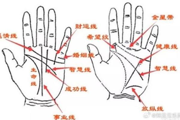 短婚姻线，揭秘婚姻走向！