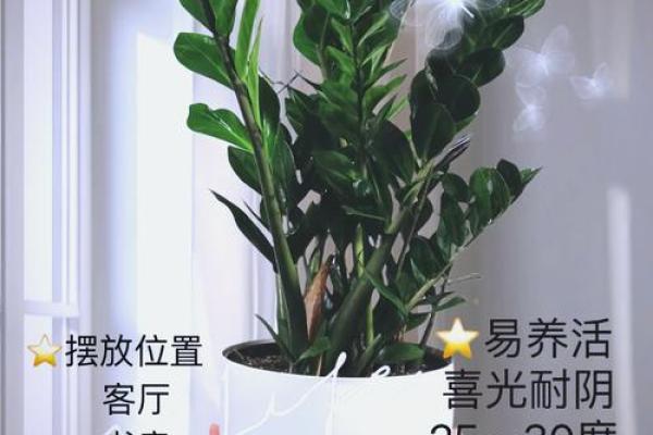 风水树王：这些树种让你财运亨通！