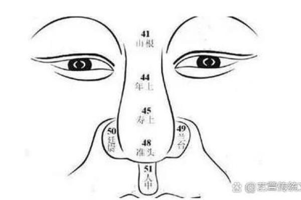鼻痣显贵气，揭秘鼻子痣相的运势解析！