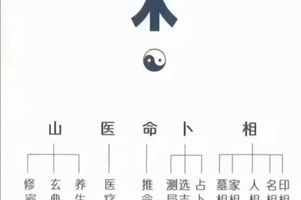 无秘境，不手相
