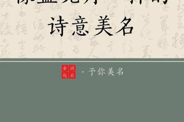 思蓉之韵：探寻美丽与智慧的姓名奥秘