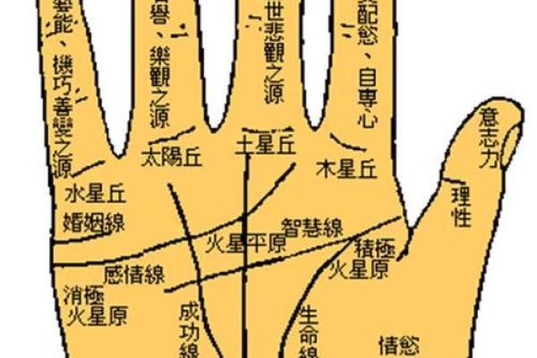 手相揭秘：家居风水好坏，一看便知！