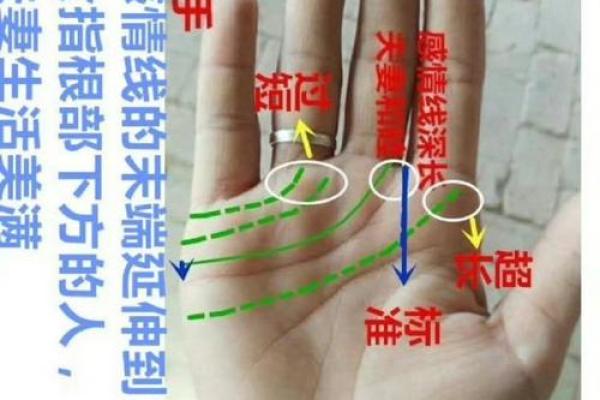 手相揭秘：家居风水好坏，一看便知！