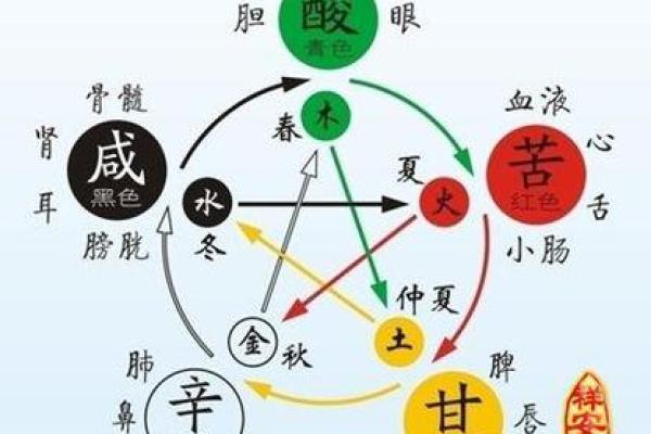 首五行在五行中的归属分析