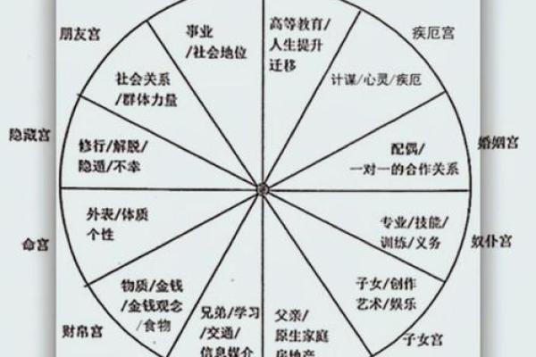 面相识仕途：洞察官运的神秘之门