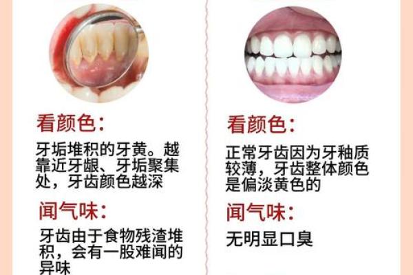 笑口常开，齿如编贝：揭秘报牙面相的魅力之谜