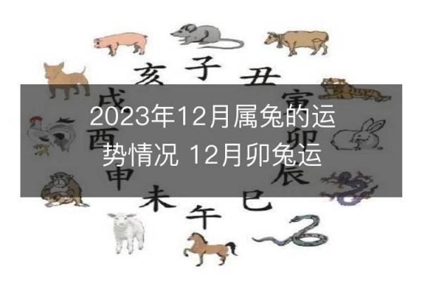 探究属兔人的命理特点
