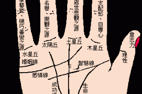 手相大师独家解读：掌握这些技巧，轻松读懂你的命运！