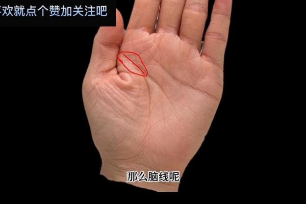 揭秘手相中的晚年运势：财富与健康的完美平衡