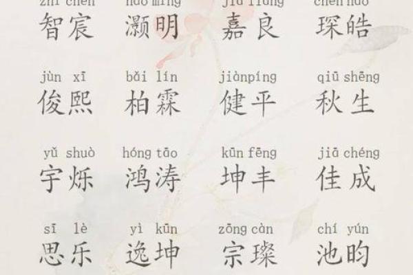 丁政：蕴藏智慧与权威，彰显独特魅力的姓名解析