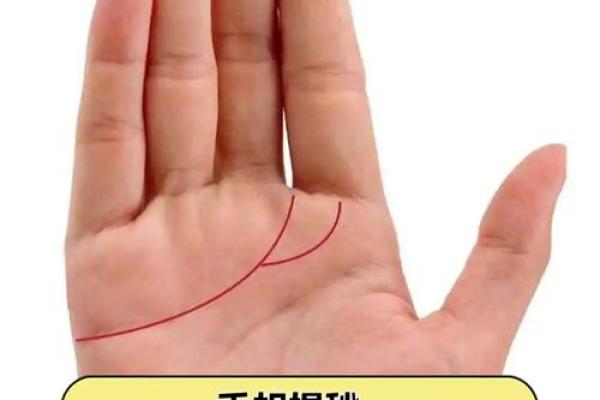 老婆线揭秘：手相中的爱情密码