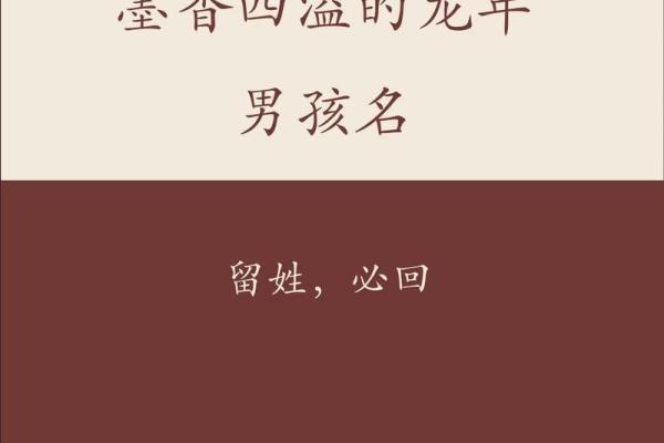 禹墨：一个独特名字背后的文化寓意