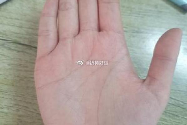 一眼识人心，面相手相大揭秘！