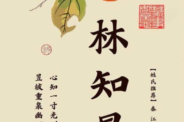 朴字寓意深远的名字，给孩子带来独特的气质