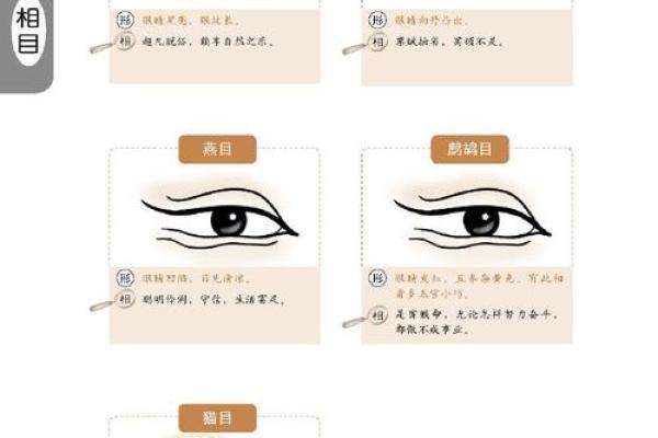 男人香肠嘴面相：揭秘财运亨通的秘密面相特征