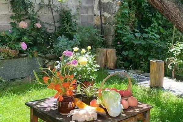 家居风水禁忌大揭秘：避免这些布局让你生活陷入困境