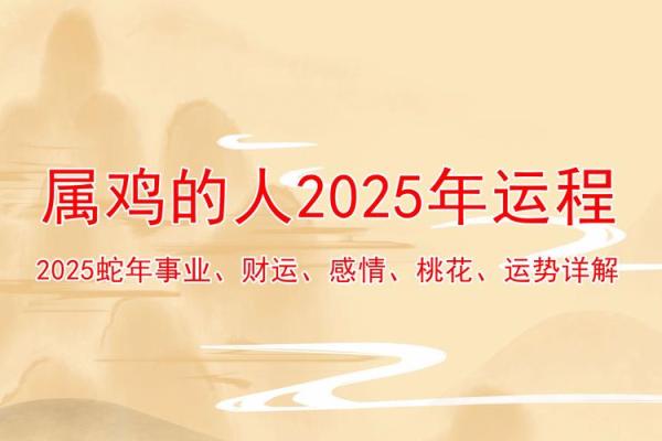 属鸡女性职场风水布局，助你事业腾飞！