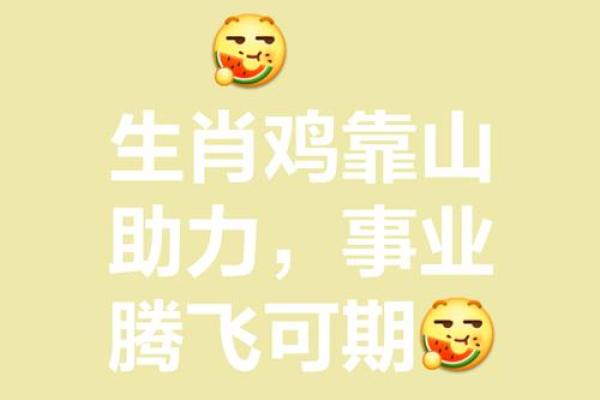 属鸡女性职场风水布局，助你事业腾飞！