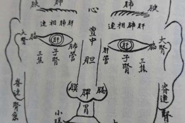 面相揭秘：父母眼袋透露的运势秘密