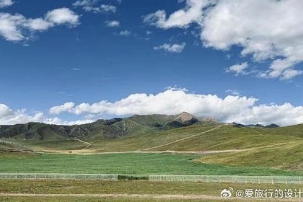 一测便知！宋玮命理测算带你探索人生轨迹