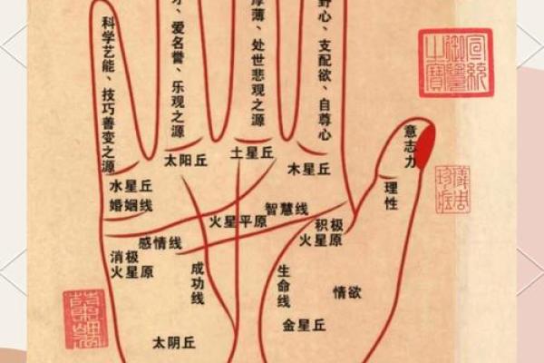 手相中的地支秘密：揭秘你的命运密码