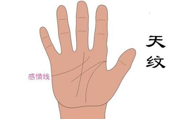 面相解码：感情线上的温柔脉脉