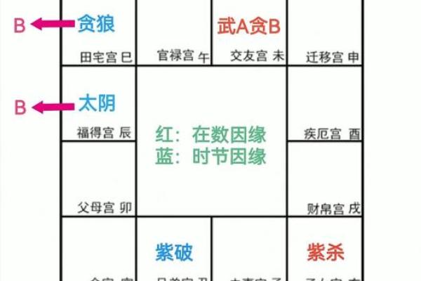 掌中玄机，揭秘命理奥秘！