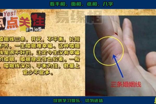 手相揭秘：揭秘你的婚姻运势，妻宫运势大公开！