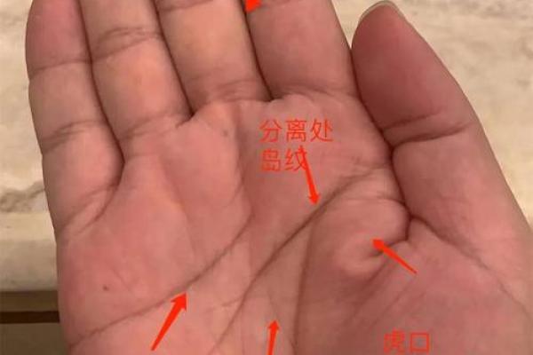 手相揭秘：揭秘你的婚姻运势，妻宫运势大公开！
