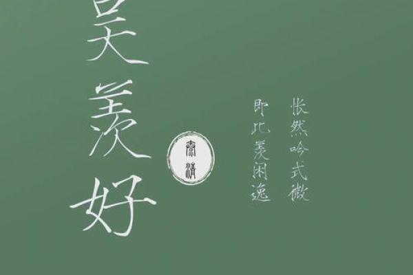 2017年赵宝宝取名灵感集锦