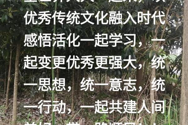 教育文化公司如何推动传统文化的活化与传播