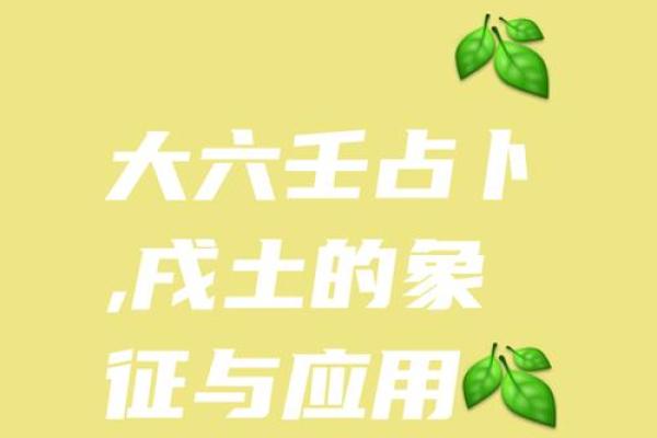 神秘地支：揭开占卜界的神秘面纱