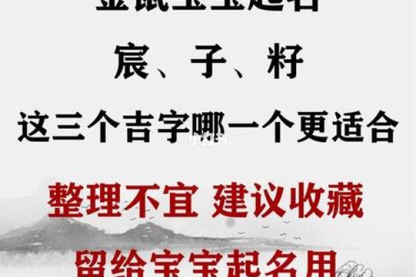 鼠宝宝名字：巧思妙想，吉祥如意