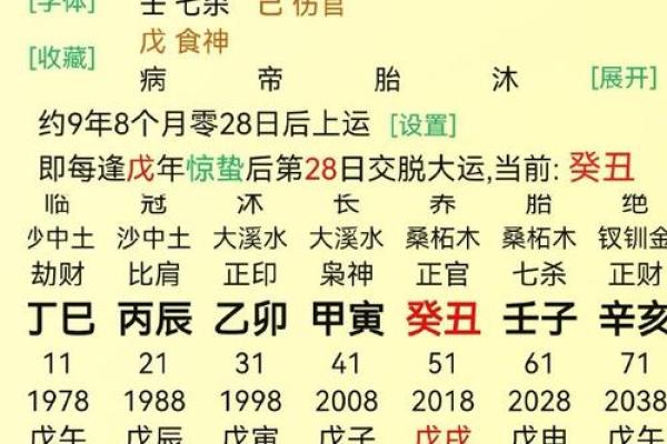 午火命理揭秘：火势旺盛的人生轨迹