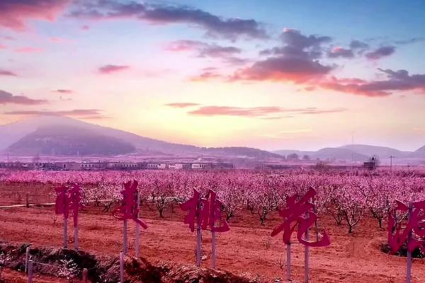 桃花节里话团圆，民俗风情浓似酒