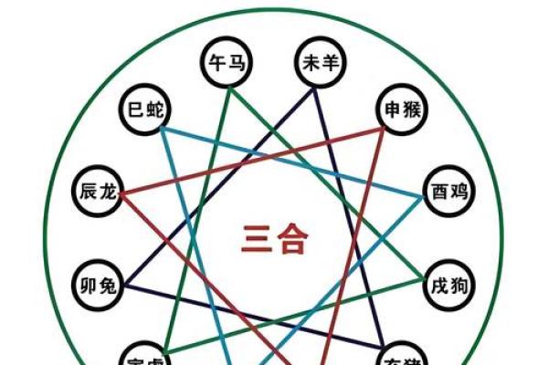 金木水火土，五行藏干秘籍