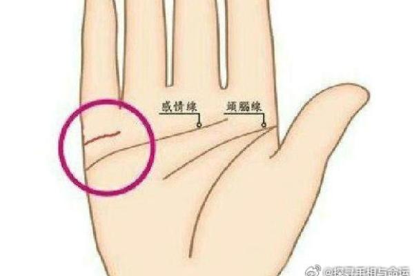 指尖秘语：揭秘命运密码的神奇手相术