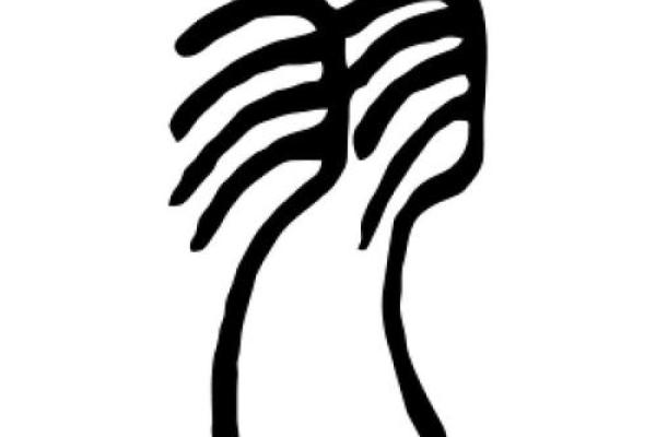 如何理解羽字的五行属性
