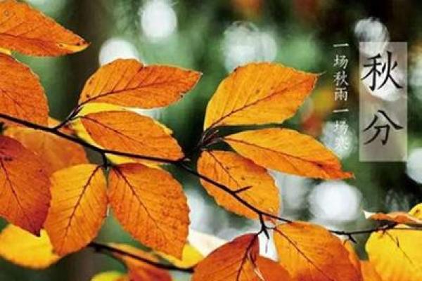 伟字五行属性的影响与解读