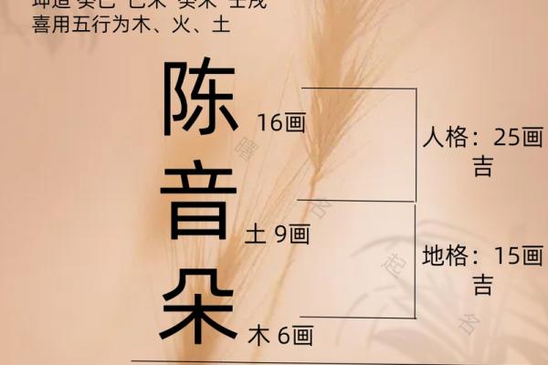 从晨祥看名字的命名艺术与个性表辿