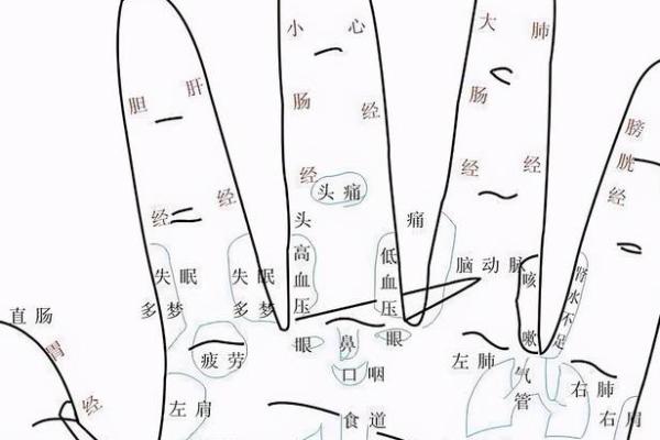 手相揭秘：常看手相，运势大不同！