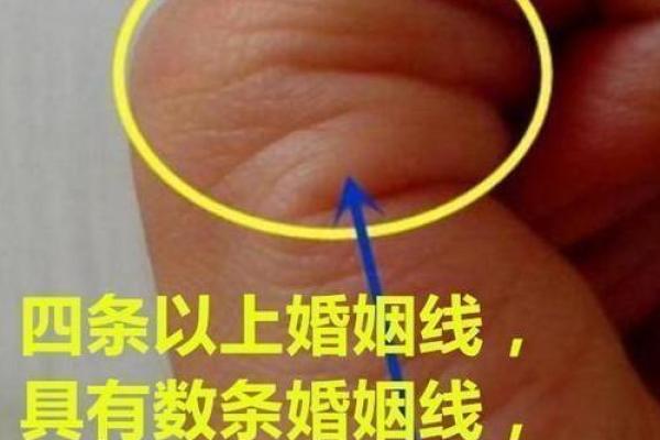 细纹密布，手相奥秘大揭秘！