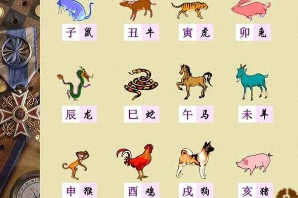 了解生肖猪的五行归属