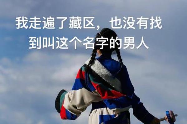 藏族历史中的文化传承与创新