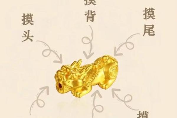 招财进宝风水秘籍，让你的财运亨通如流水！