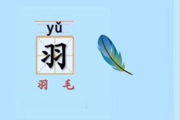 羽字五行属性的深度分析