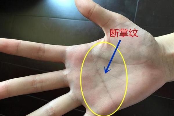 掌中富贵，揭秘富豪手相秘密